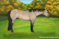 Horse Color:Brown Dun