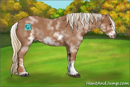 Horse Color:White Spotted Red Roan Frame 