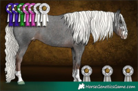 Horse Color:Liver Chestnut Mushroom Appaloosa 