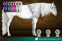 Horse Color:Liver Chestnut Mushroom Appaloosa 