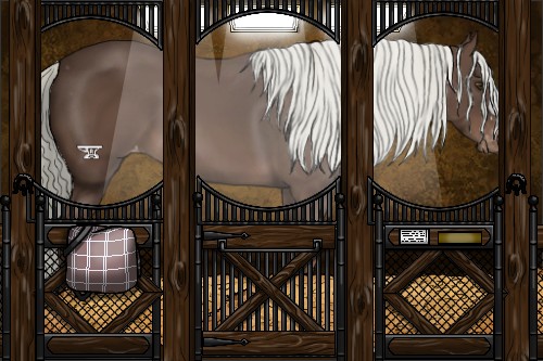 Horse Color:Liver Chestnut Mushroom Appaloosa