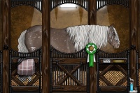 Horse Color:Liver Chestnut Mushroom Snowflake Varnish