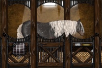 Horse Color:Liver Chestnut Mushroom Snowflake Varnish