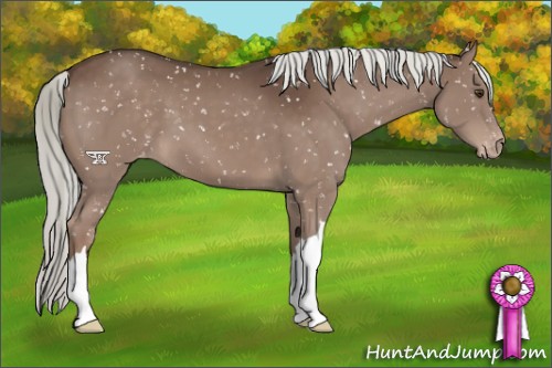 Horse Color:Liver Chestnut Mushroom Snowflake Varnish