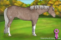 Horse Color:Liver Chestnut Mushroom Snowflake Varnish 