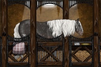 Horse Color:Liver Chestnut Mushroom Snowflake Varnish 