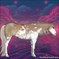 Horse Color:Silver Grullo Sabino 