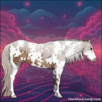 Horse Color:White Spotted Silver Black Sabino 