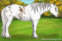 Horse Color:Silver Black Sabino 