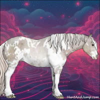 Horse Color:White Spotted Silver Black Sabino 