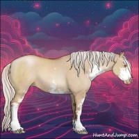 Horse Color:Silver Grullo Pearl Sabino 