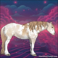 Horse Color:White Spotted Red Dun Sabino