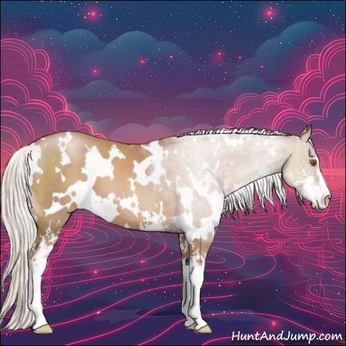 Horse Color:White Spotted Silver Black Pearl Sabino 