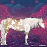 Horse Color:White Spotted Silver Black Pearl Sabino 