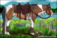 Horse Color:Bay Sabino Tobiano Rabicano