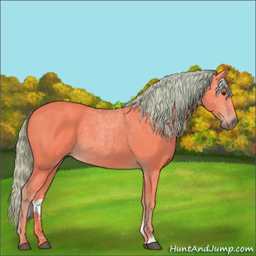Horse Color:Watercolor Liver Chestnut 