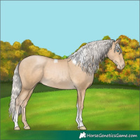 Horse Color:Silver Smoky Black Pearl Tobiano