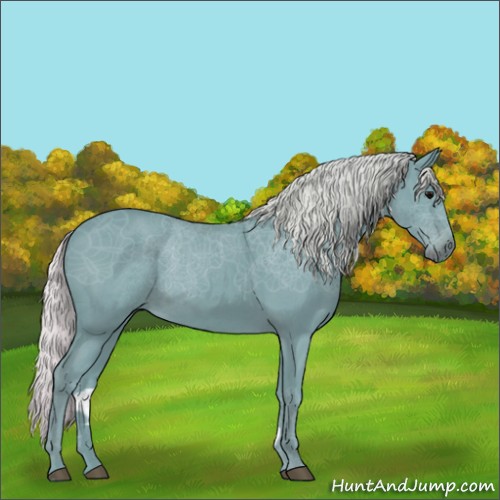 Horse Color:Watercolor Silver Blue Roan
