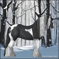 Horse Color:Black Tobiano 