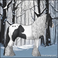 Horse Color:Black Tobiano 