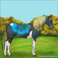 Horse Color:Painted Liver Chestnut Tobiano 