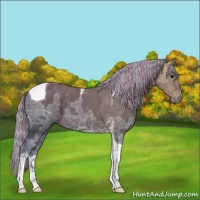 Horse Color:Painted Silver Brown Ice Tobiano 