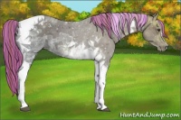 Horse Color:Painted Liver Chestnut Ice Tobiano 