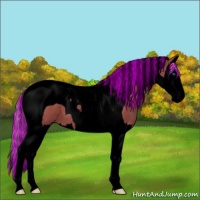 Horse Color:Void Painted Silver Brown Dun Splash Tobiano 