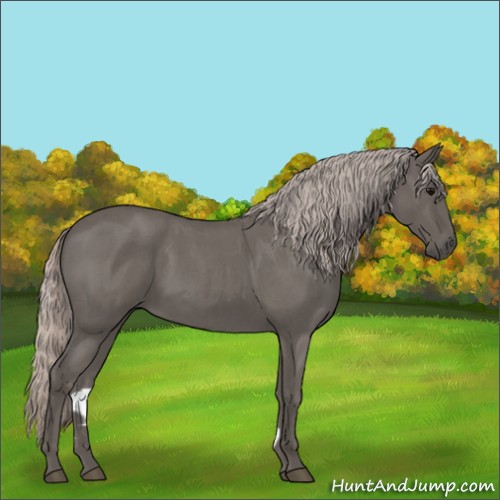 Horse Color:Silver Blue Roan Rabicano 