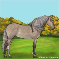 Horse Color:Silver Brown Dun Rabicano 