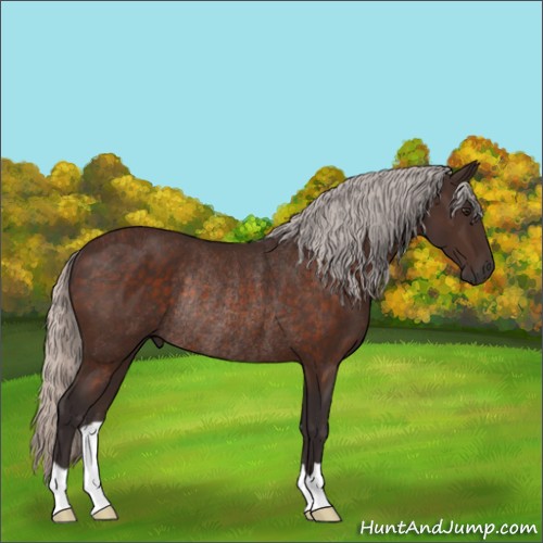 Horse Color:Silver Brown Rabicano 