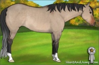 Horse Color:Brown Dun Rabicano 