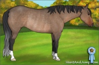 Horse Color:Brown Dun Rabicano 