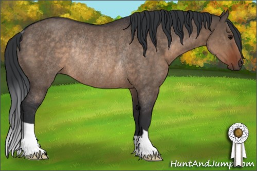Horse Color:Brown Dun Rabicano 