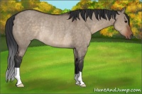 Horse Color:Brown Dun Rabicano