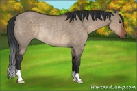 Horse Color:Brown Dun Rabicano 