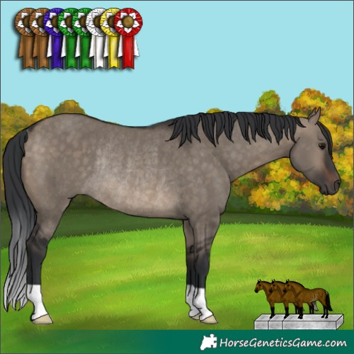 Horse Color:Brown Dun Rabicano 