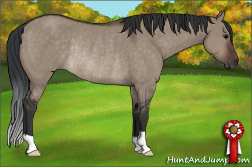 Horse Color:Brown Dun Rabicano 