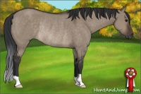 Horse Color:Brown Dun Rabicano 