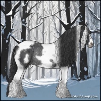 Horse Color:Black Tobiano Frame Rabicano 