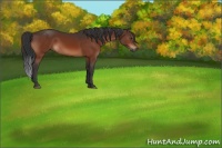 Horse Color:Brown 
