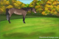 Horse Color:Brown 