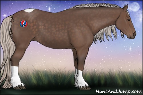 Horse Color:Silver Black Tobiano 