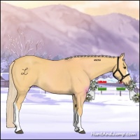 Horse Color:Palomino 