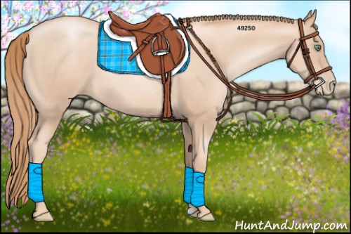 Horse Color:Gold Champagne Pearl Rabicano 