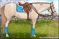 Horse Color:Gold Champagne Pearl Rabicano 