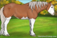 Horse Color:Silver Bay Splash 