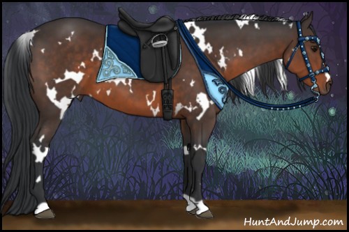 Horse Color:White Spotted Brown 
