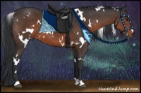 Horse Color:White Spotted Brown 