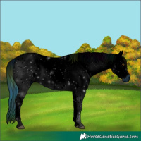 Horse Color:ERROR: UNKNOWN ANOMALY